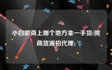 小白微商上哪个地方拿一手货(微商货源招代理)