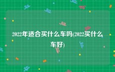 2022年适合买什么车吗(2022买什么车好)