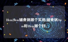 18cm20cm辅食锅哪个实用(辅食锅16cm和18cm哪个好)