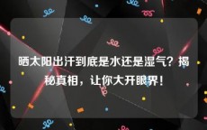 晒太阳出汗到底是水还是湿气？揭秘真相，让你大开眼界！