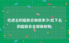 吃进去的脂肪会吸收多少(吃下去的脂肪会全部吸收吗)