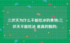 三伏天为什么不能吃冰的食物(三伏天不能吃冰 是真的假的)
