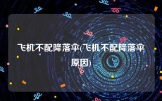 飞机不配降落伞(飞机不配降落伞原因)
