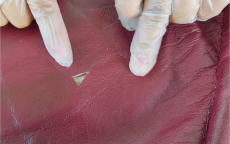 古驰布包刮花了怎么办(古驰包被刮花了怎么办)