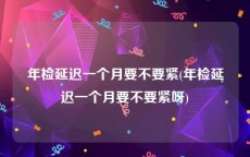年检延迟一个月要不要紧(年检延迟一个月要不要紧呀)