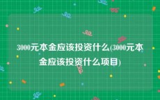 3000元本金应该投资什么(3000元本金应该投资什么项目)