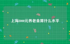 上海8000元养老金算什么水平