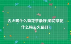 去火喝什么菊花茶最好(菊花茶配什么喝去火最好)