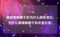 脆皮青椒晒干后为什么颜色变红(为什么青辣椒晒干后会变红色)