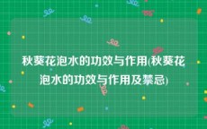 秋葵花泡水的功效与作用(秋葵花泡水的功效与作用及禁忌)