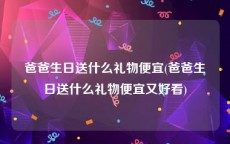 爸爸生日送什么礼物便宜(爸爸生日送什么礼物便宜又好看)