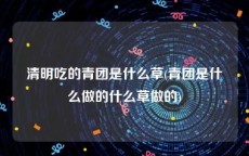 清明吃的青团是什么草(青团是什么做的什么草做的)