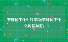 茶叶种子什么时候种(茶叶种子什么时候种好)