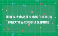 邯郸最大食品批发市场在哪里(邯郸最大食品批发市场在哪里啊)