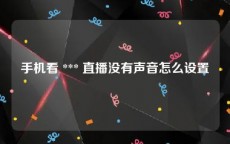 手机看 *** 直播没有声音怎么设置