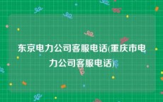 东京电力公司客服电话(重庆市电力公司客服电话)