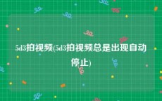 5d3拍视频(5d3拍视频总是出现自动停止)