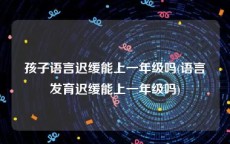 孩子语言迟缓能上一年级吗(语言发育迟缓能上一年级吗)
