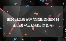 业务员走访客户总结报告(业务员走访客户总结报告怎么写)