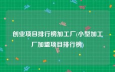 创业项目排行榜加工厂(小型加工厂加盟项目排行榜)
