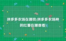 拼多多农场在哪找(拼多多农场种的红薯在哪查看)