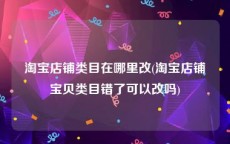 淘宝店铺类目在哪里改(淘宝店铺宝贝类目错了可以改吗)