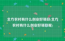 北方农村有什么创业好项目(北方农村有什么创业好项目呢)