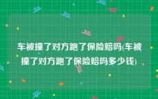 车被撞了对方跑了保险赔吗(车被撞了对方跑了保险赔吗多少钱)