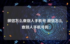 微信怎么查别人手机号 微信怎么查别人手机号码