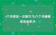 6个月菜泥一次喂几勺(六个月辅食菜泥加多少)