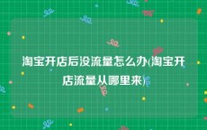 淘宝开店后没流量怎么办(淘宝开店流量从哪里来)