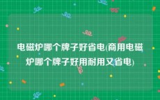 电磁炉哪个牌子好省电(商用电磁炉哪个牌子好用耐用又省电)