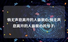 悄无声息离开的人最狠心(悄无声息离开的人最狠心的句子)