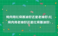 炖肉用红烧酱油好还是老抽好(红烧肉用老抽好还是红烧酱油好)