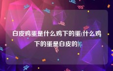 白皮鸡蛋是什么鸡下的蛋(什么鸡下的蛋是白皮的)