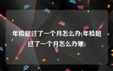 年检超过了一个月怎么办(年检超过了一个月怎么办理)