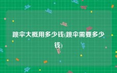 跳伞大概用多少钱(跳伞需要多少钱)