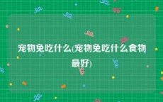 宠物兔吃什么(宠物兔吃什么食物最好)