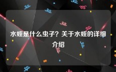 水蛭是什么虫子？关于水蛭的详细介绍