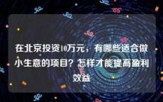 在北京投资10万元，有哪些适合做小生意的项目？怎样才能提高盈利效益