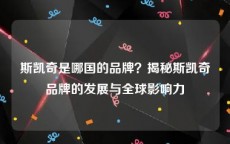 斯凯奇是哪国的品牌？揭秘斯凯奇品牌的发展与全球影响力