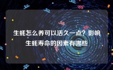 生蚝怎么养可以活久一点？影响生蚝寿命的因素有哪些