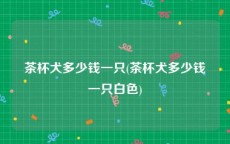 茶杯犬多少钱一只(茶杯犬多少钱一只白色)