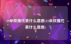 19朵玫瑰代表什么意思(11朵玫瑰代表什么意思)