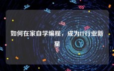 如何在家自学编程，成为IT行业新星