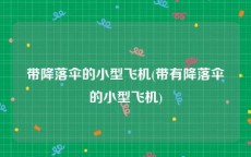 带降落伞的小型飞机(带有降落伞的小型飞机)