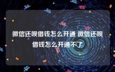 微信还呗借钱怎么开通 微信还呗借钱怎么开通不了