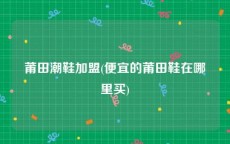 莆田潮鞋加盟(便宜的莆田鞋在哪里买)