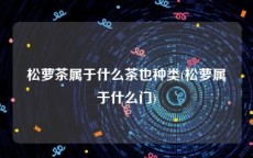 松萝茶属于什么茶也种类(松萝属于什么门)