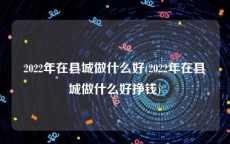 2022年在县城做什么好(2022年在县城做什么好挣钱)